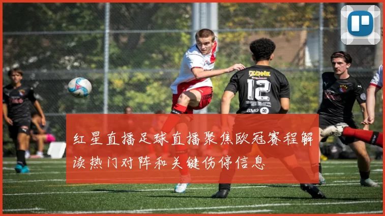 红星直播足球直播聚焦欧冠赛程解读热门对阵和关键伤停信息