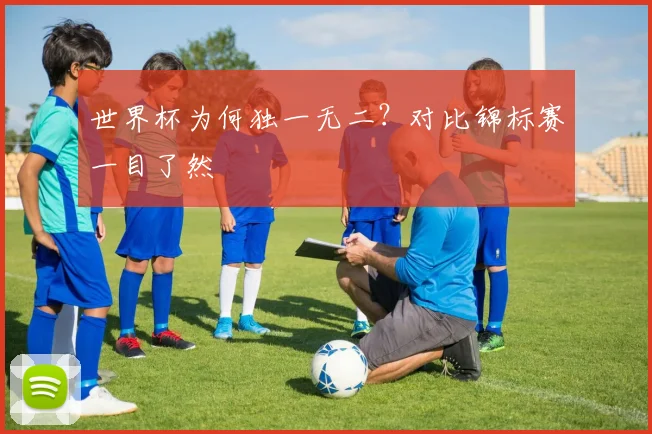 世界杯为何独一无二？对比锦标赛一目了然