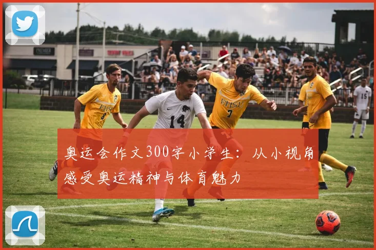 奥运会作文300字小学生:从小视角感受奥运精神与体育魅力