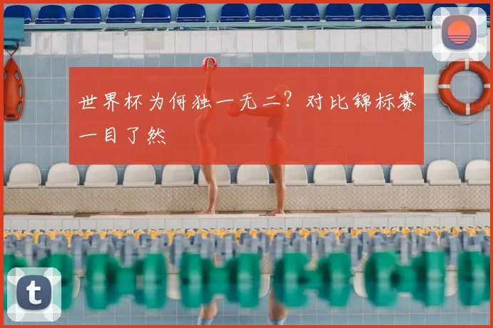 世界杯为何独一无二？对比锦标赛一目了然