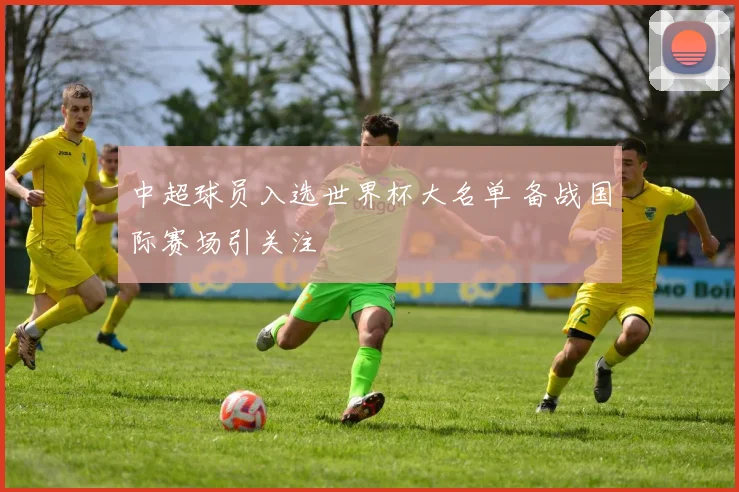 中超球员入选世界杯大名单 备战国际赛场引关注